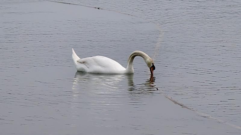 郑州·北龙湖湿地公园